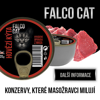 Falco banner